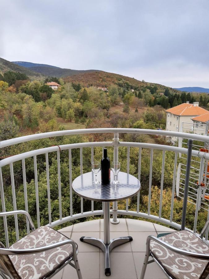 Sky Apartman Sokobanja Eksteriør billede
