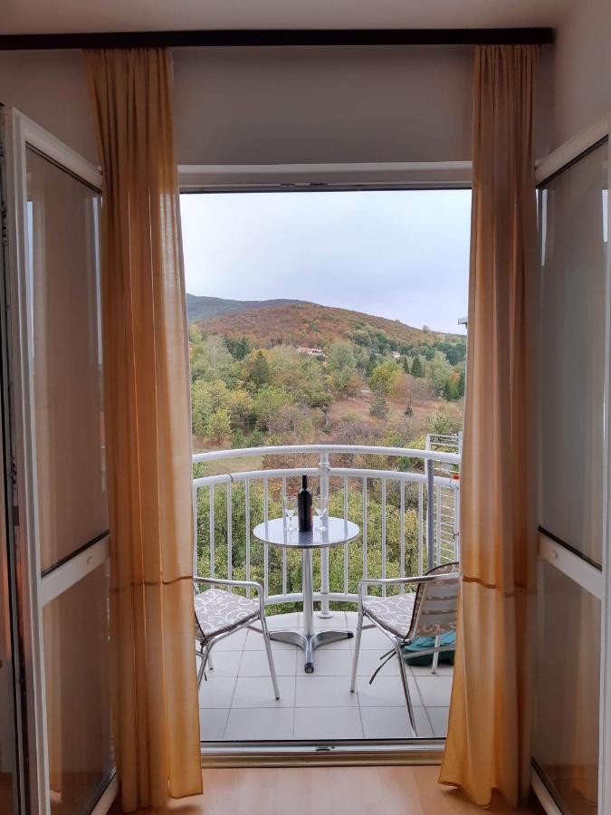 Sky Apartman Sokobanja Eksteriør billede