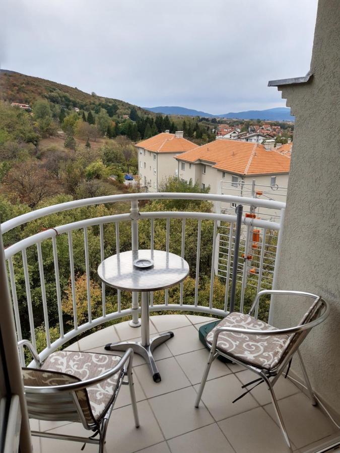 Sky Apartman Sokobanja Eksteriør billede