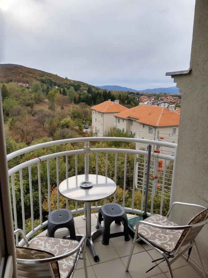 Sky Apartman Sokobanja Eksteriør billede