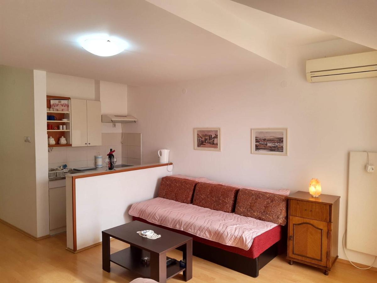 Sky Apartman Sokobanja Eksteriør billede